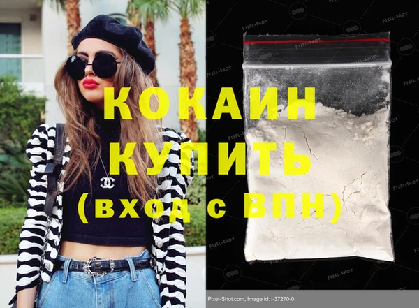 шишки Краснослободск