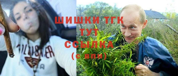шишки Краснослободск