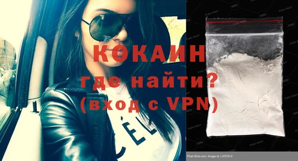 шишки Краснослободск