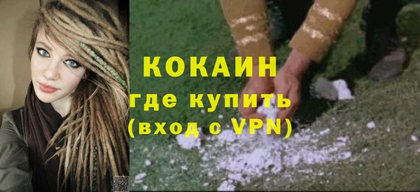 шишки Краснослободск