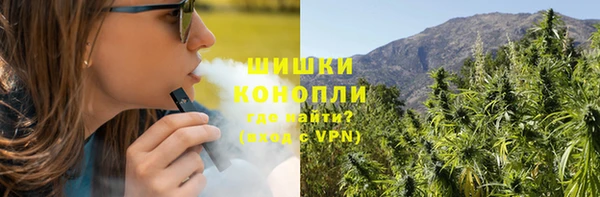 шишки Краснослободск