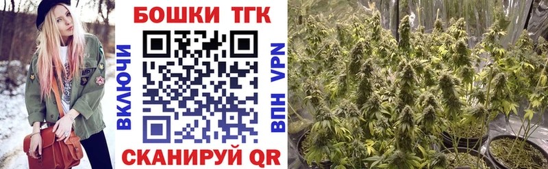 Купить закладки  Венёв  Бошки Шишки планчик 